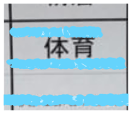 330335258