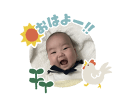 330460508