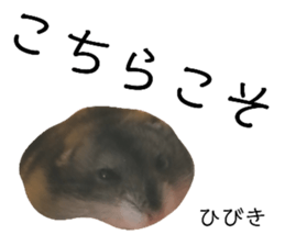 330556649