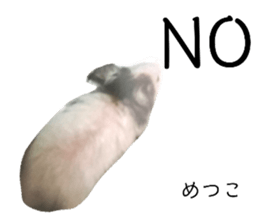330556651