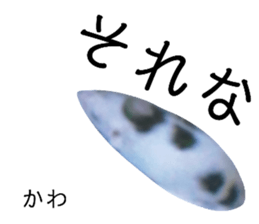 330556654