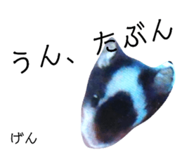 330556659