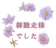 330563829