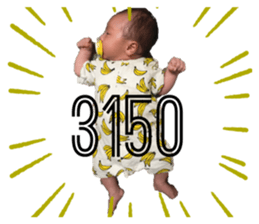 330609687