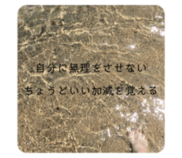 330864153