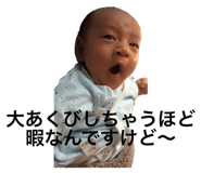 330880717
