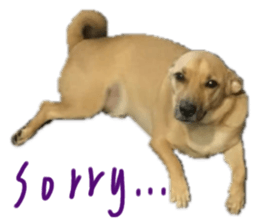 330959236