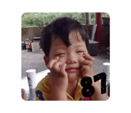 331111729