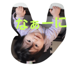 33122987