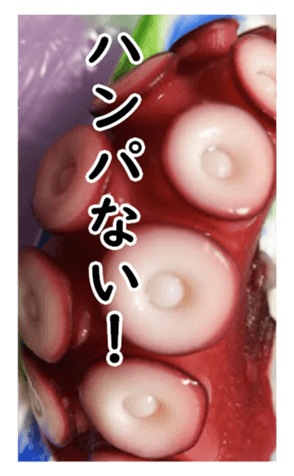 331239016