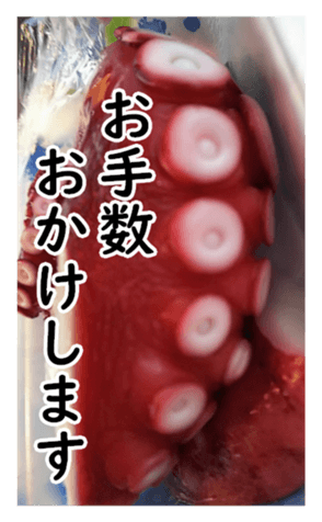 331239048