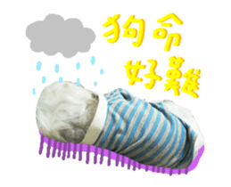 33129660