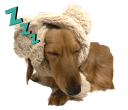 331328012