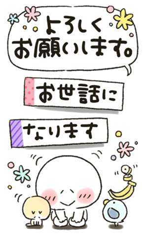 331335081