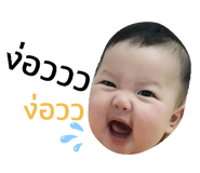 331391577