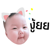 331391589