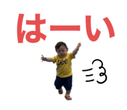 331484213