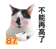 331490000