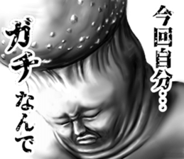 331556668