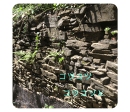 331567477