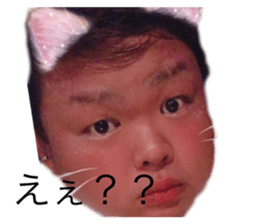 331734795