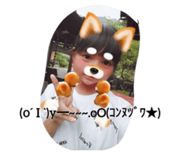 331951515