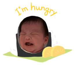 331957712