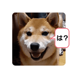 331981361