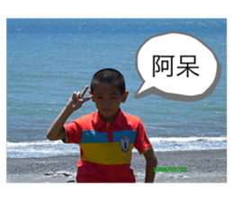 332003736