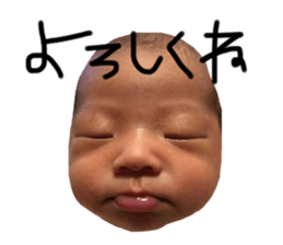 332003795