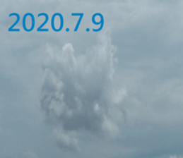 332006081