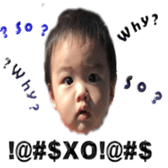 33201584