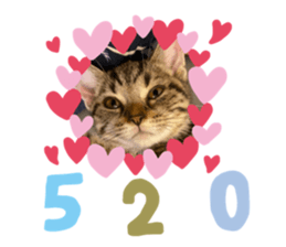 332036573