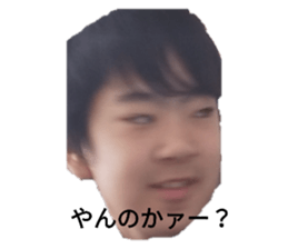 332086824