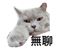 332122148