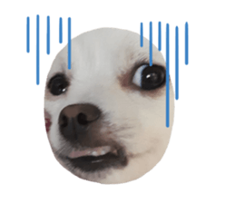 332263658