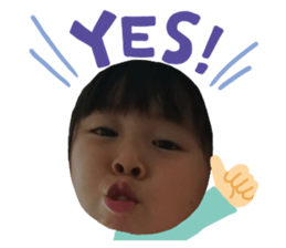 332267037