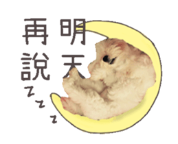 33226942