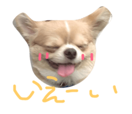 33230815