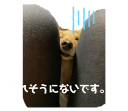 332326276