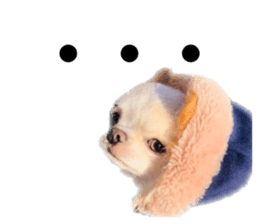 332345881