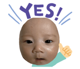 332353558