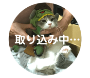 332368271