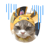 332368281