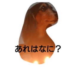 33237314