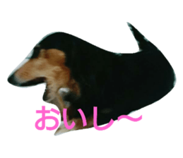 33237321