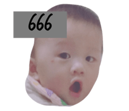 33237818