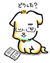 3323884