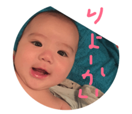 33241042