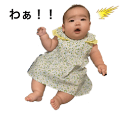 332441782